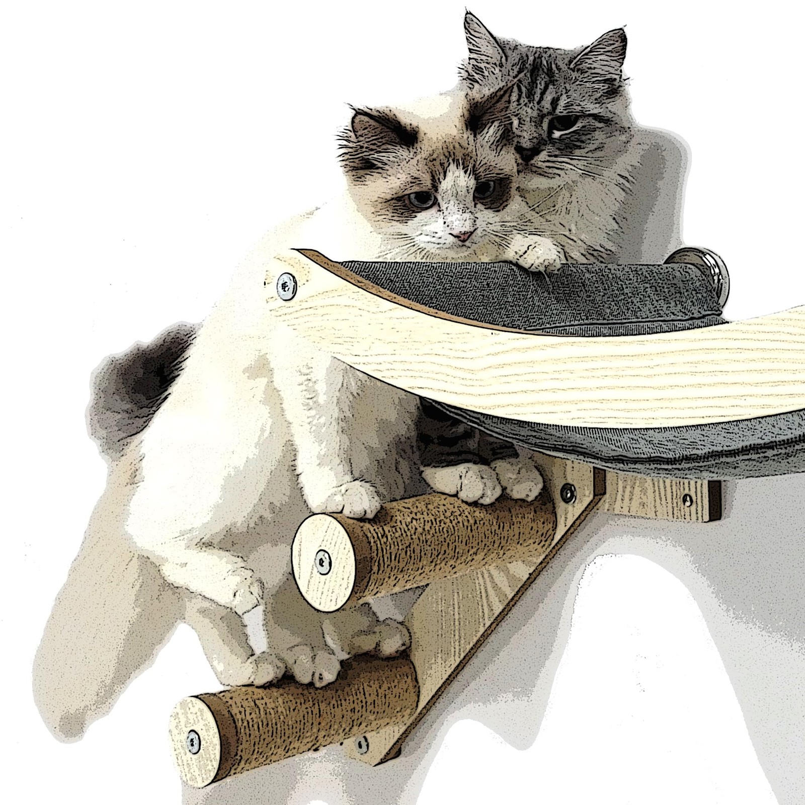 HeyKitten 17" Cat Wall Hammock for 2x4 Stud Mount Stylish Floating Kitten She...