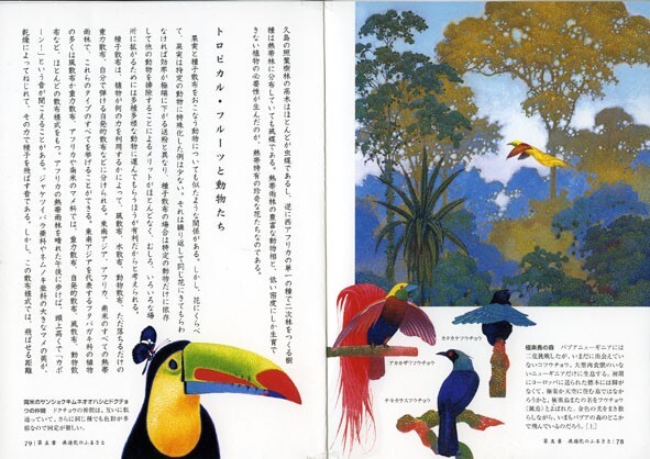 Hiroo Isono Art Books Set of 5 Emerald Dream Emerald Green & 3 other books