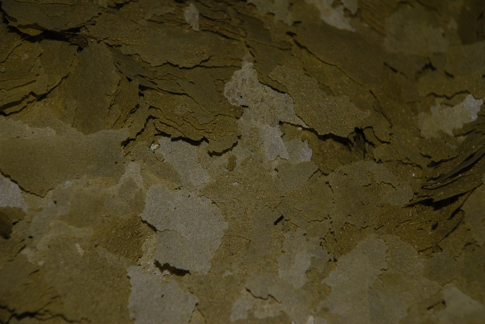 Ken's Ultra Intense Spirulina Flake