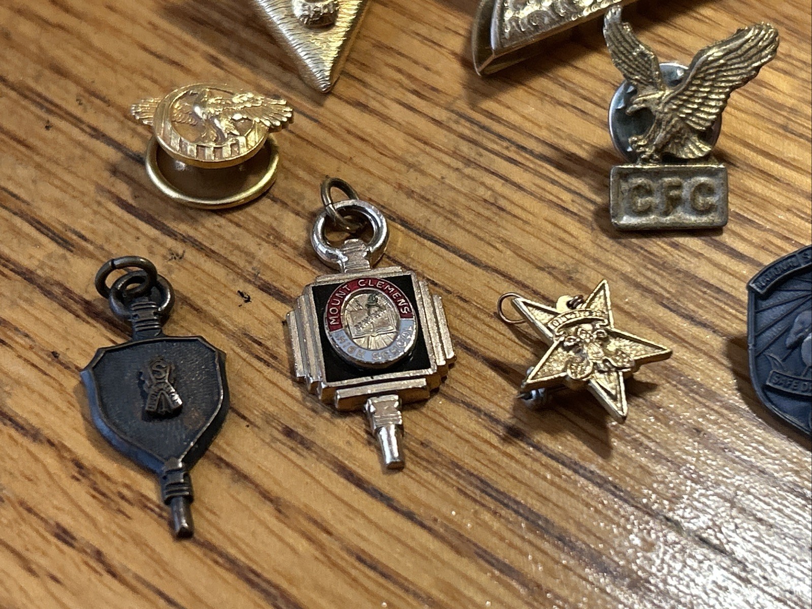 Lot of 15 Fraternal Pins And More