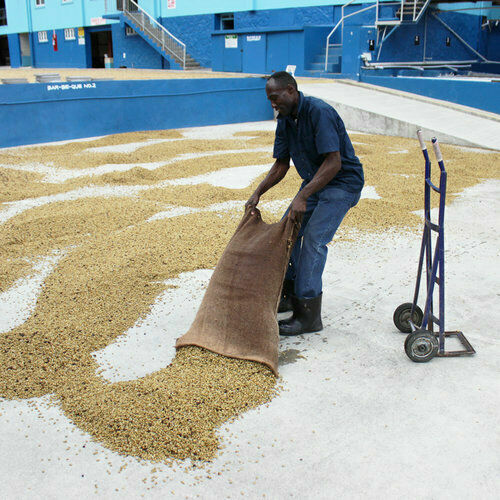 5 BEAN ESPRESSO COFFEE BEANS DARK ROASTED 5 POUNDS