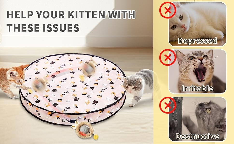 Interactive Cat Toy Ball Fast Rolling in Pouch, Motion Activate Chirping Sensory