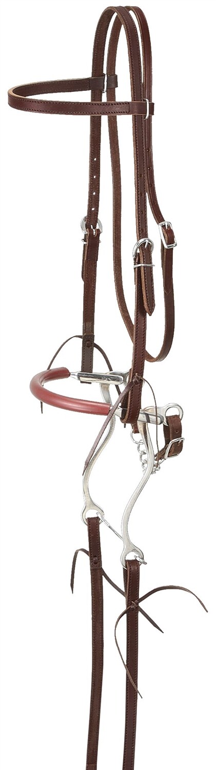 Browband Headstall - Reins - Curb Chain and Hackamore Set - 3 Color Choices