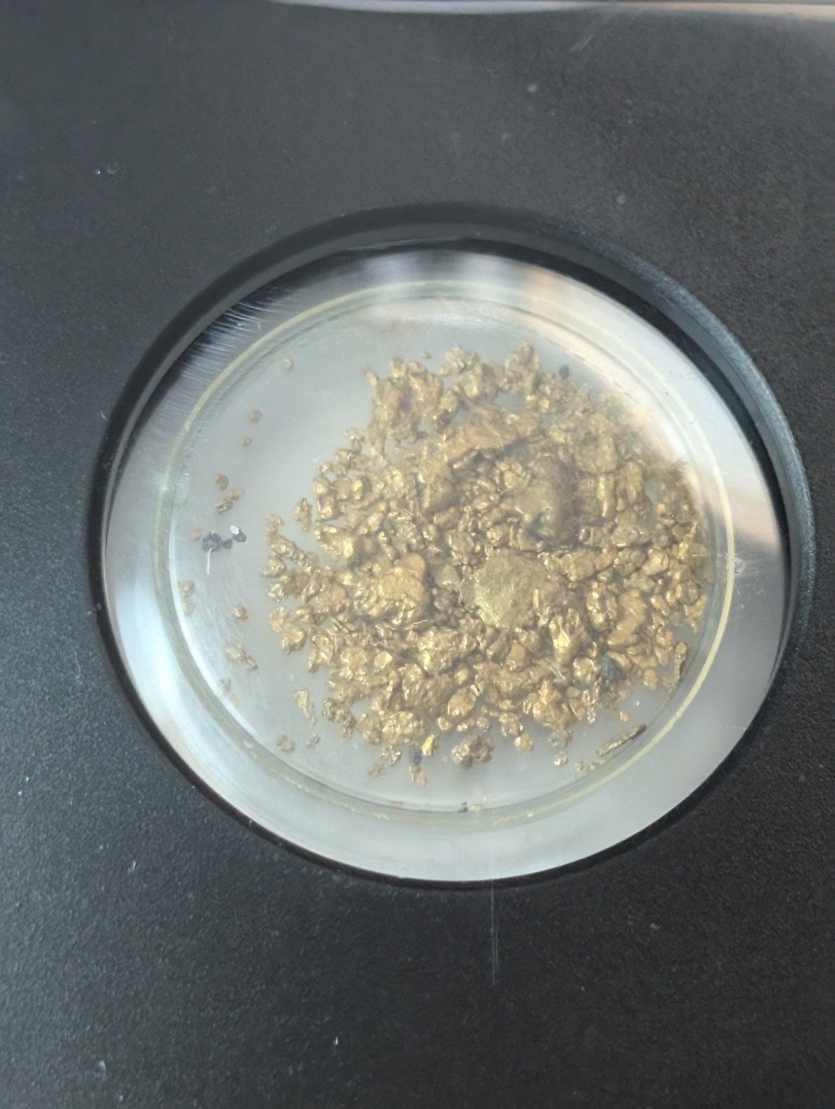 VaultBox SS Central America Gold Dust .880 Fine Gold 1.20g Encapsulated NGC