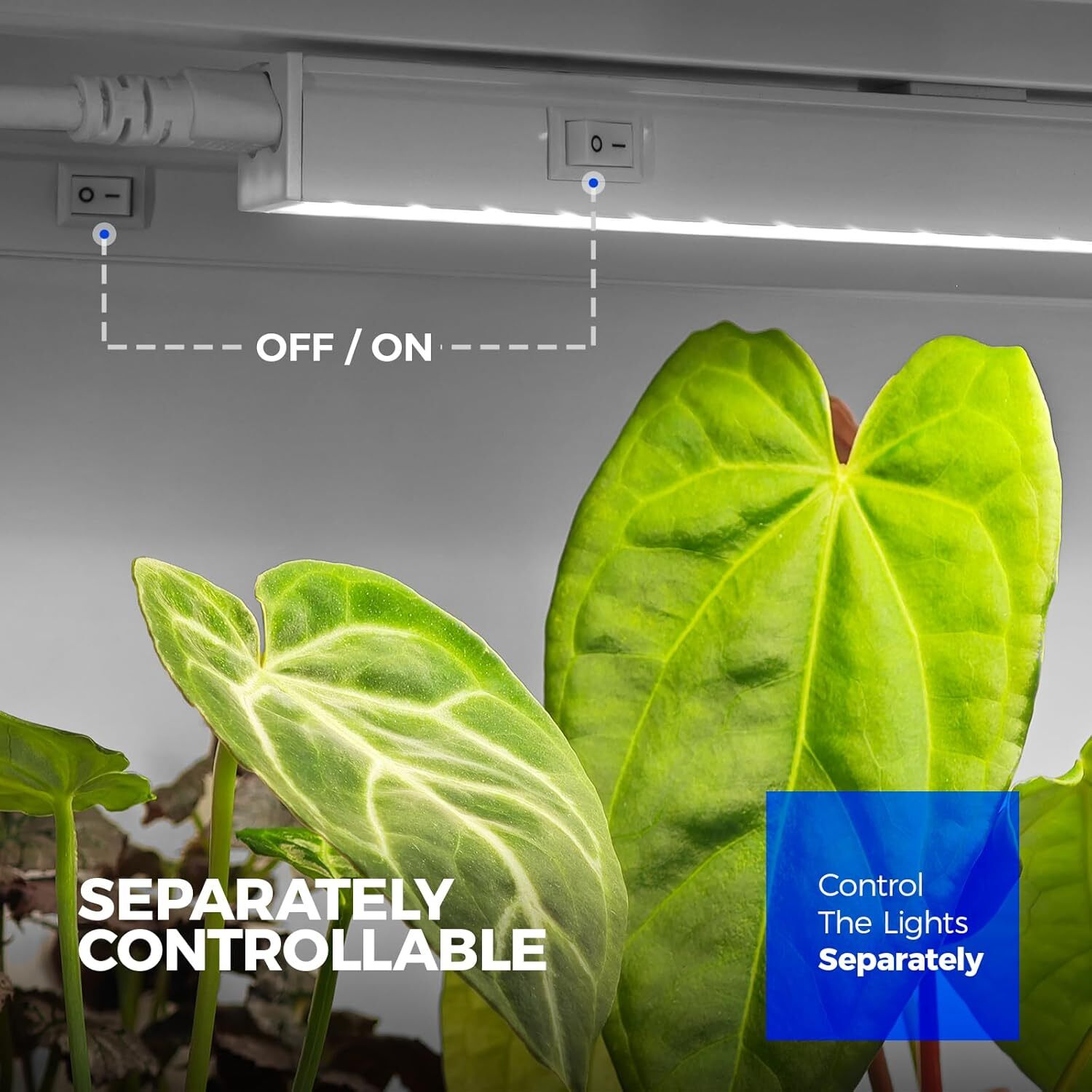 Barrina T5 LED Grow Light 5000K Full Spectrum Sunlight 1FT Plant Lamp 4 Packs