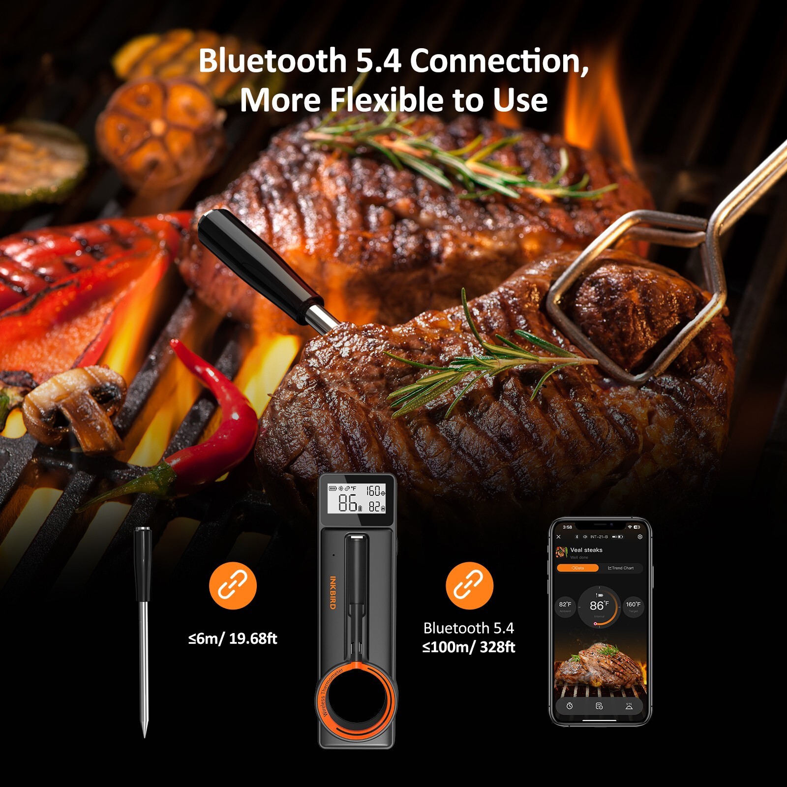 Inkbird Wireless Cooking Meat Thermometer 60min Data Storage 25min Rechargeable