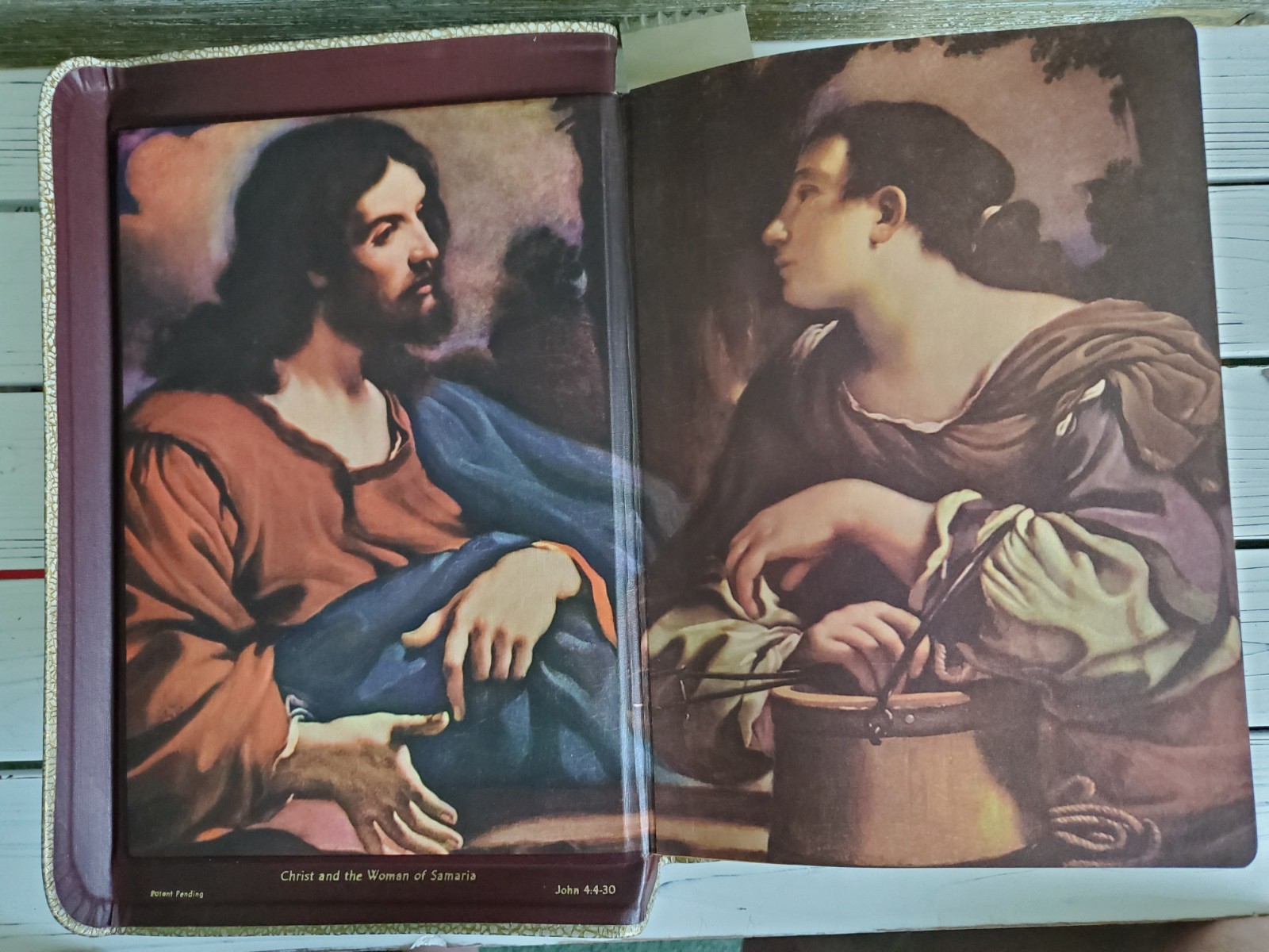 VTG Holy Bible Douay-Challoner & Confraternity Text 1951 White Illustrat Book