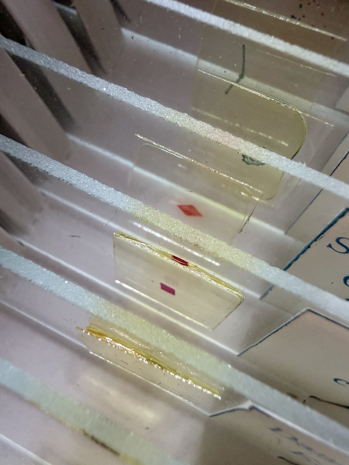 8 Vintage Microscope Slide Boxes. Prepared slides