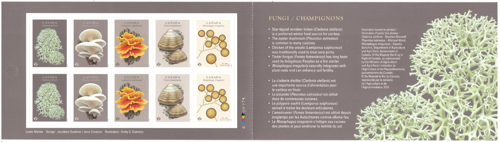 2025 Canada - New Booklet - Fungi - Mushrooms - booklet of 10 - MNH