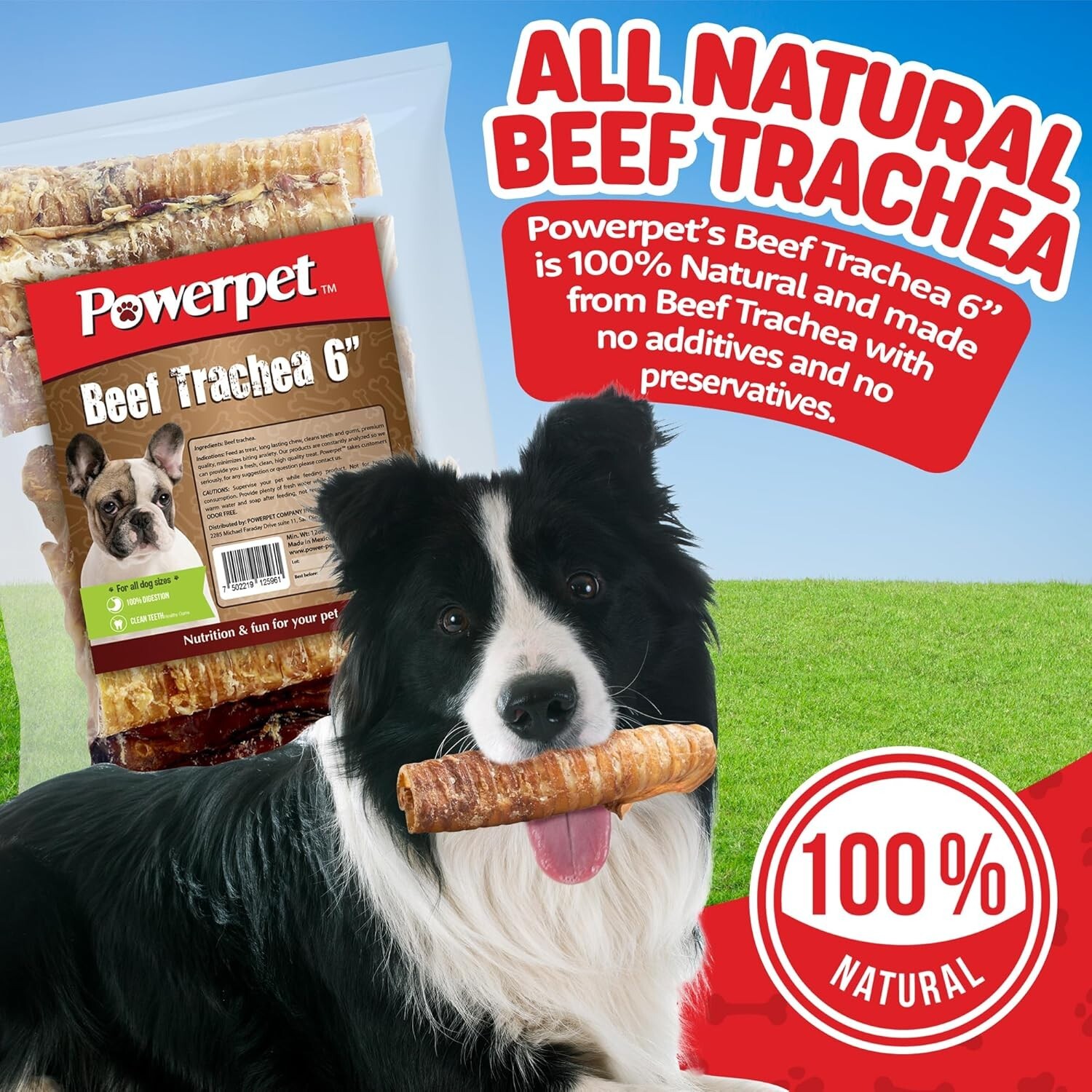 6 INCH Beef Trachea- BULK- Natural Dog Chew-100% BRC CERTIFIED