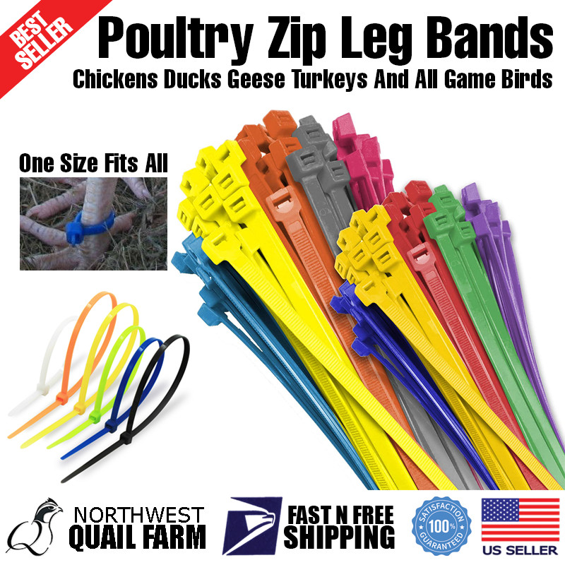 Zip Leg Bands Multi Colors for Poultry Chick Chickens Ducks Geese Turkeys 100pcs