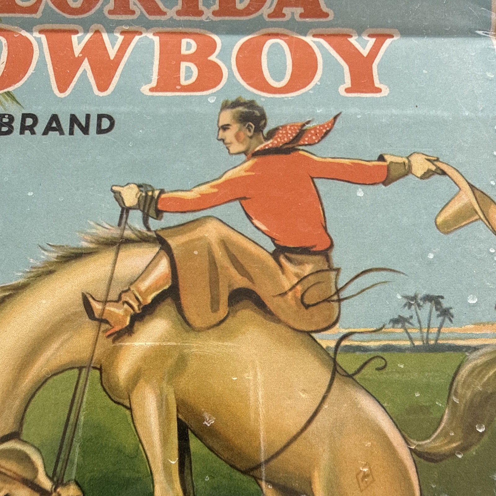 Original Vintage Florida Cowboy Citrus Crate Label Kissimmee Growers Horse Art