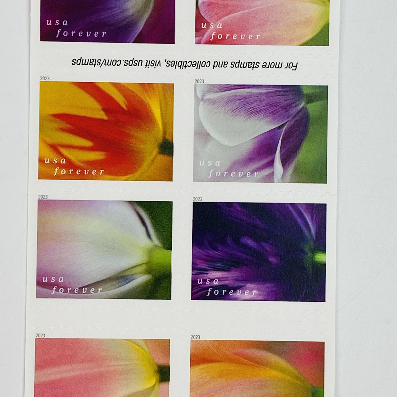 x20 Tulip Blossoms USPS First Class Forever Stamps Double Sided Booklet Of 20