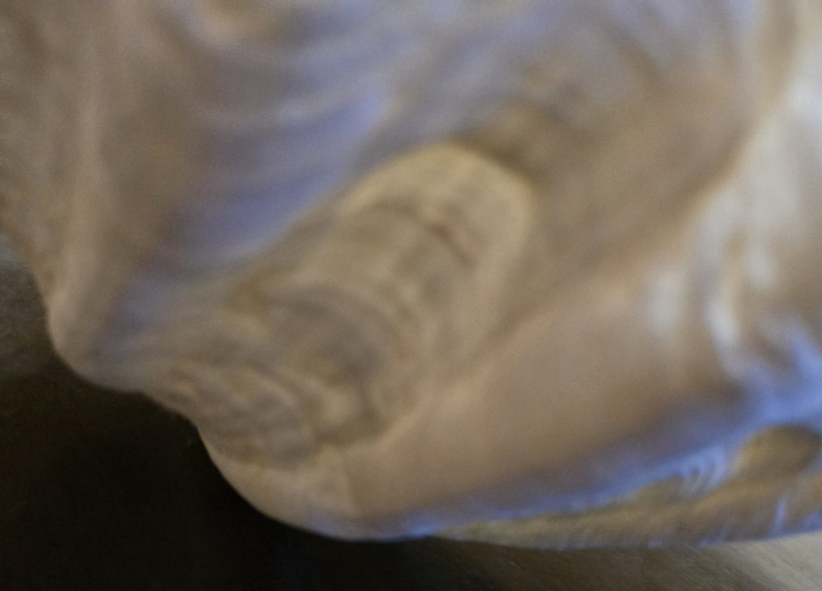 10" Natural Giant Clam Shell Tridacna Gigas Seashell Nautical Decor Beach House