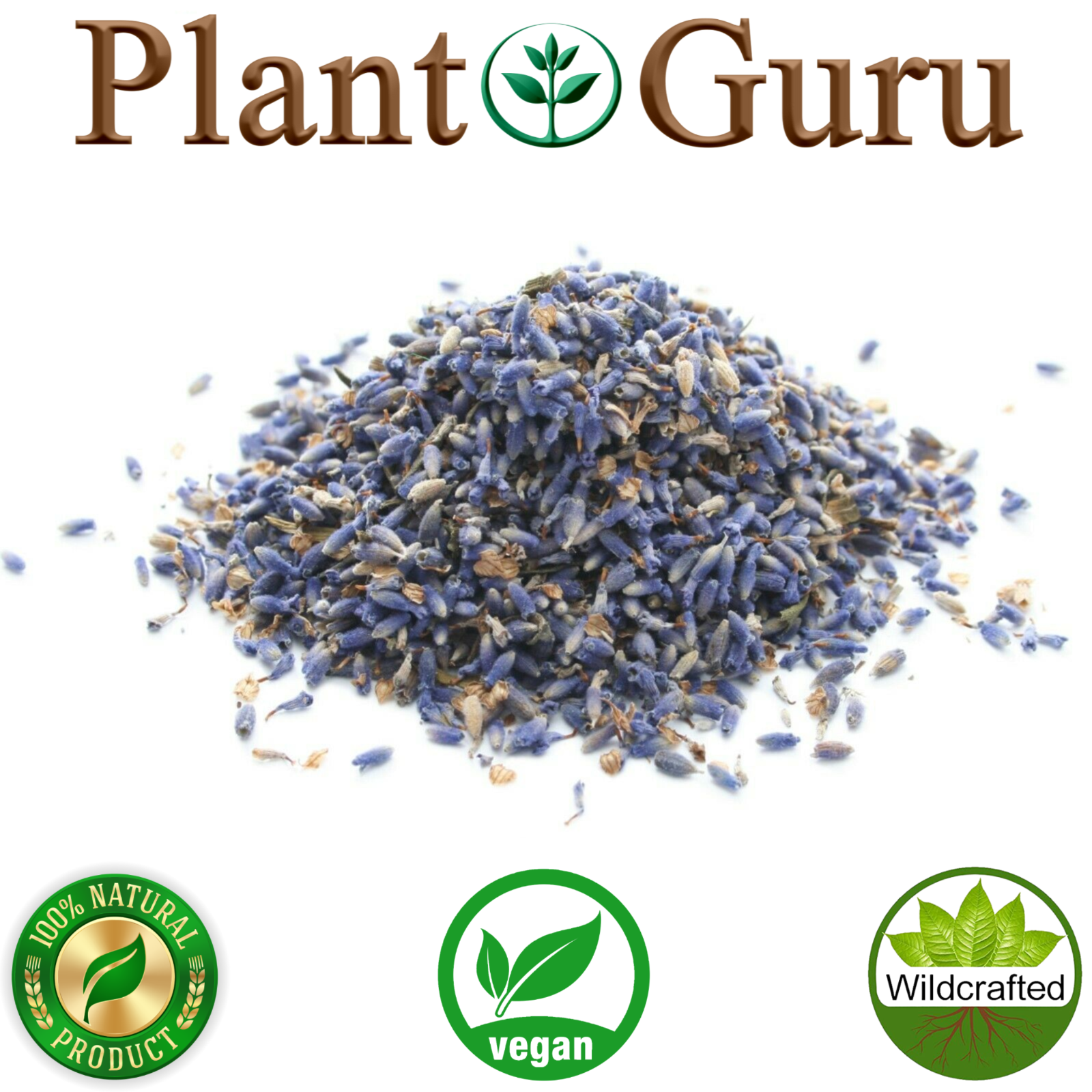 Lavender Flower Buds Dried Fresh Bulk Wholesale Lavandula Angustifolia