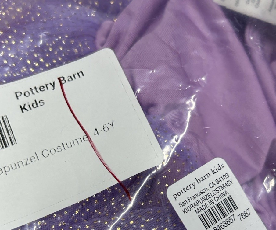 Pottery Barn Disney Princess Rapunzel Costume Dress Blonde Braided Headband NWT