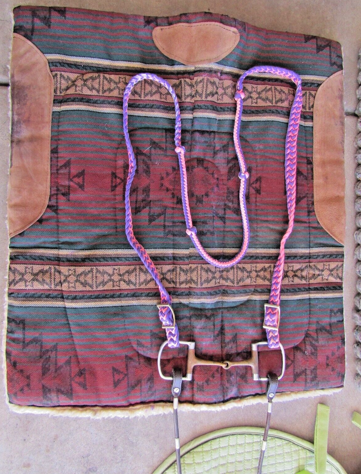 Horse riding and care equipment large lot !