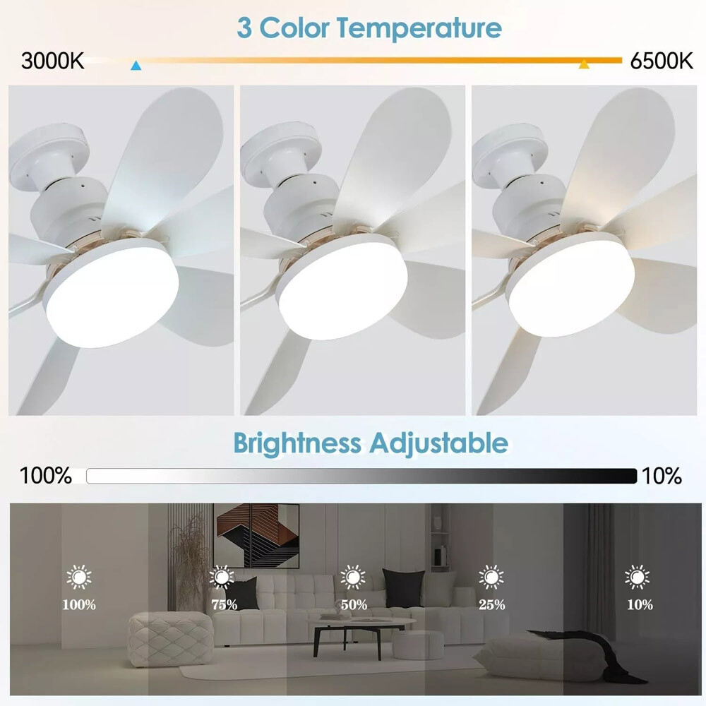 Socket Fan Light Ceiling Fans With Lights And Remote Dimmable LED Ceiling Fan US