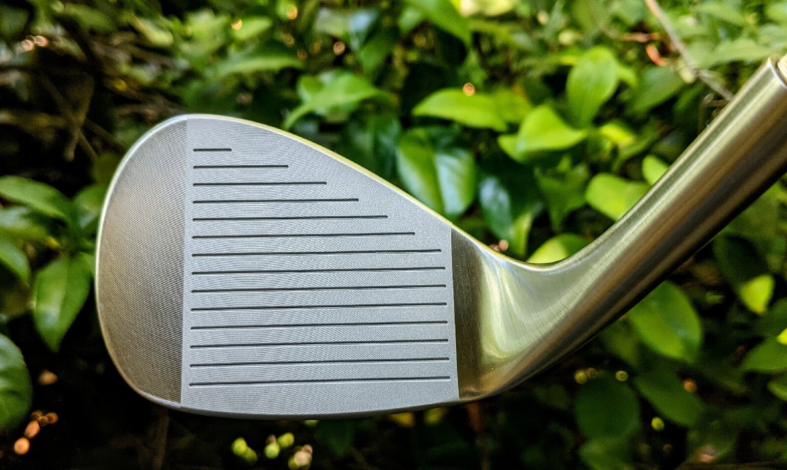 Blank Golf Wedge
