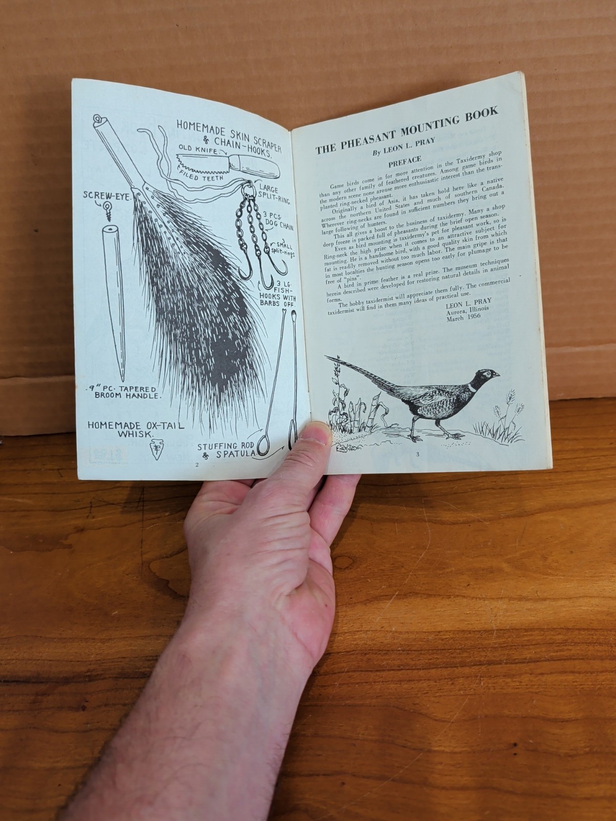 The Pheasant Mounting Book by Leon Pray 1956 Paperback Modern Taxidermist