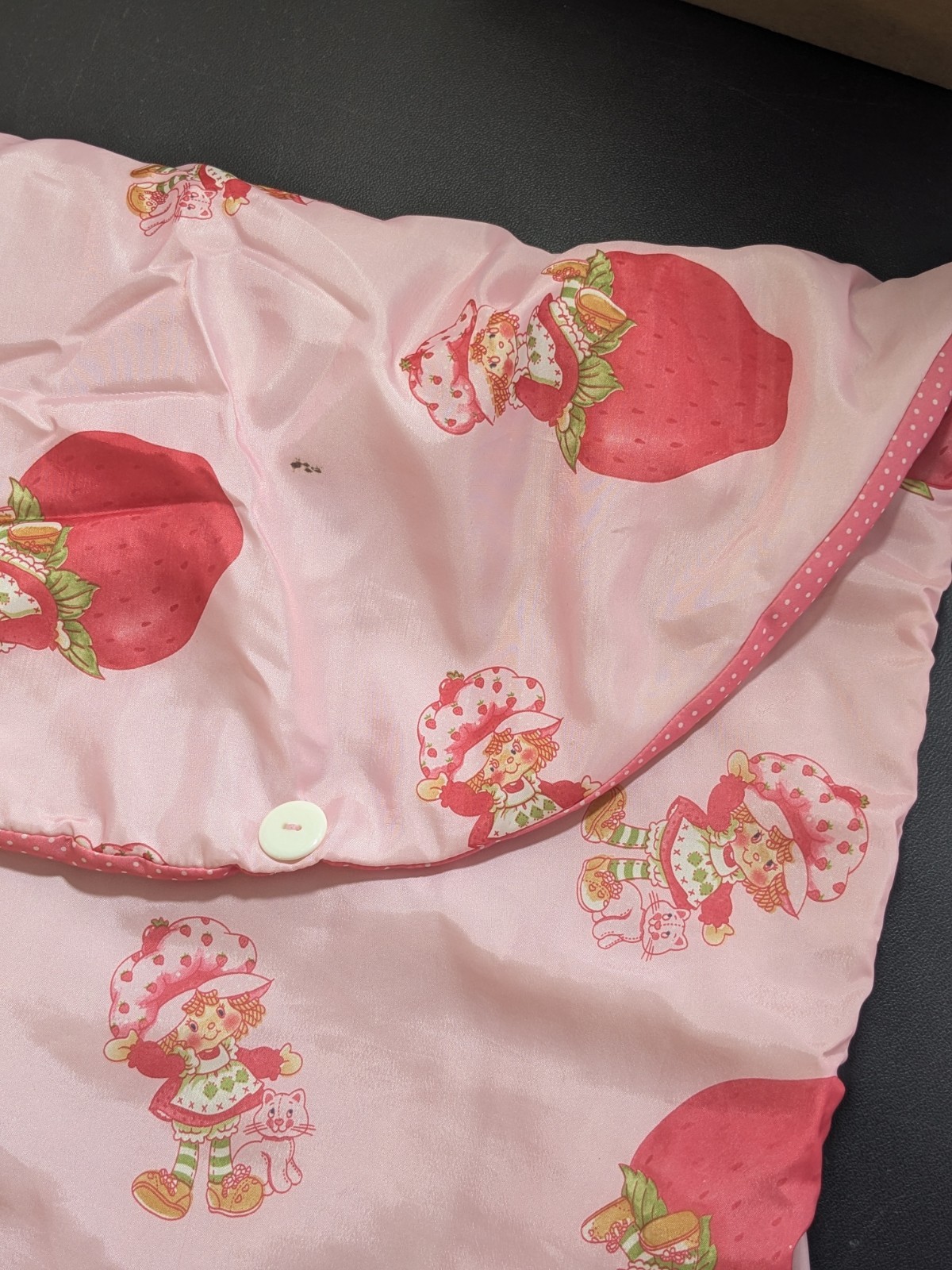 VTG Retro Strawberry Shortcake Kids Sleeping Bag/Backpack Life Is Delicious