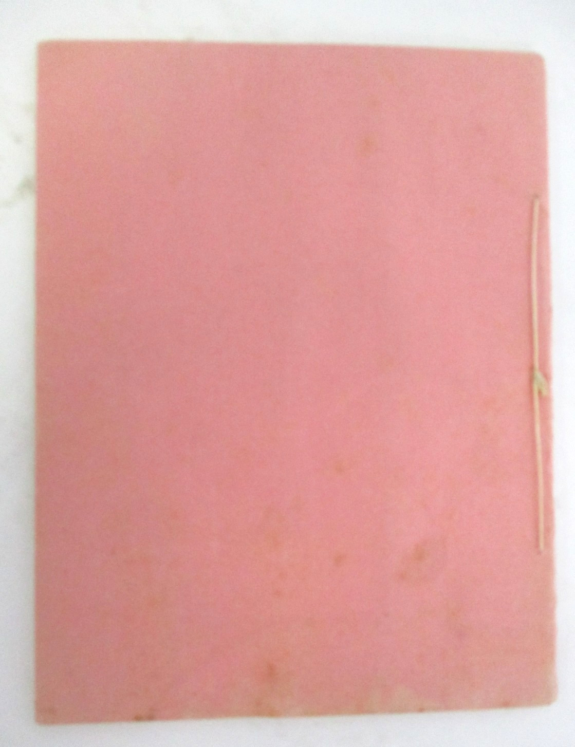 1889 THE HAYMAKERS, Pastoral Cantata Rendered by New Paltz, NY Choral Society