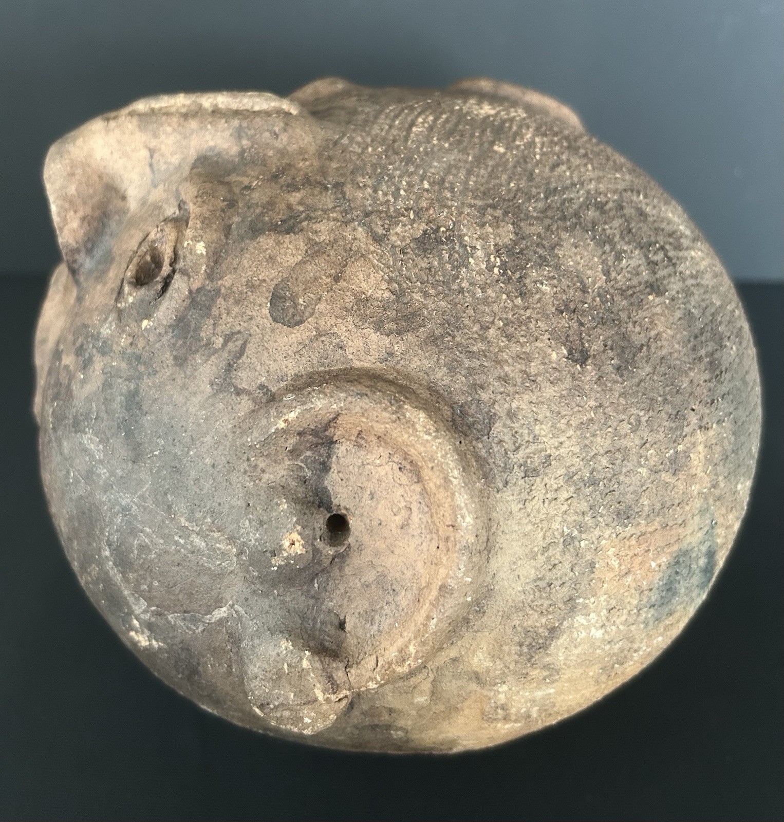 Antique Pre Columbian Clay Pottery Head Coinbank From Veracruz, Mexico 7.5”