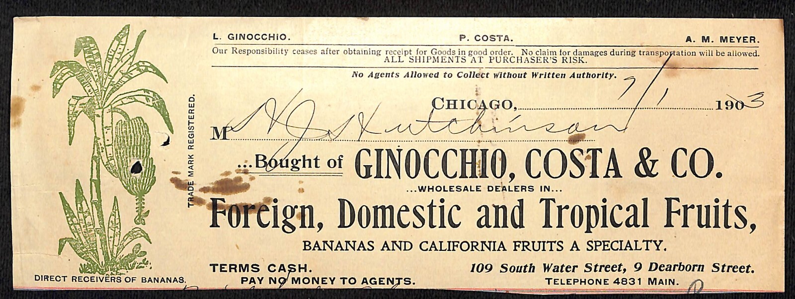 Ginocchio, Costa & Co. Bananas HJ Hutchinson Decorah IA* Cut 1903 Billhead