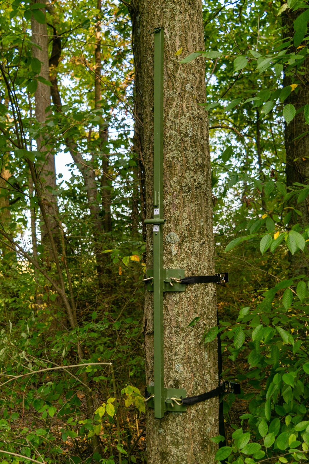 Tree Stand Blind Chameleon Includes the TM100 Tree Mount Mossy Oak DNA