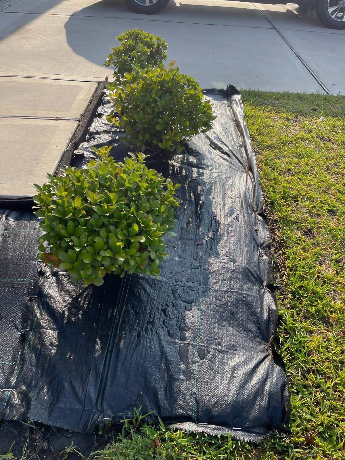 Heavy Duty Landscape Fabric 3.5 oz, Weed Barrier Garden Mat, Different Sizes