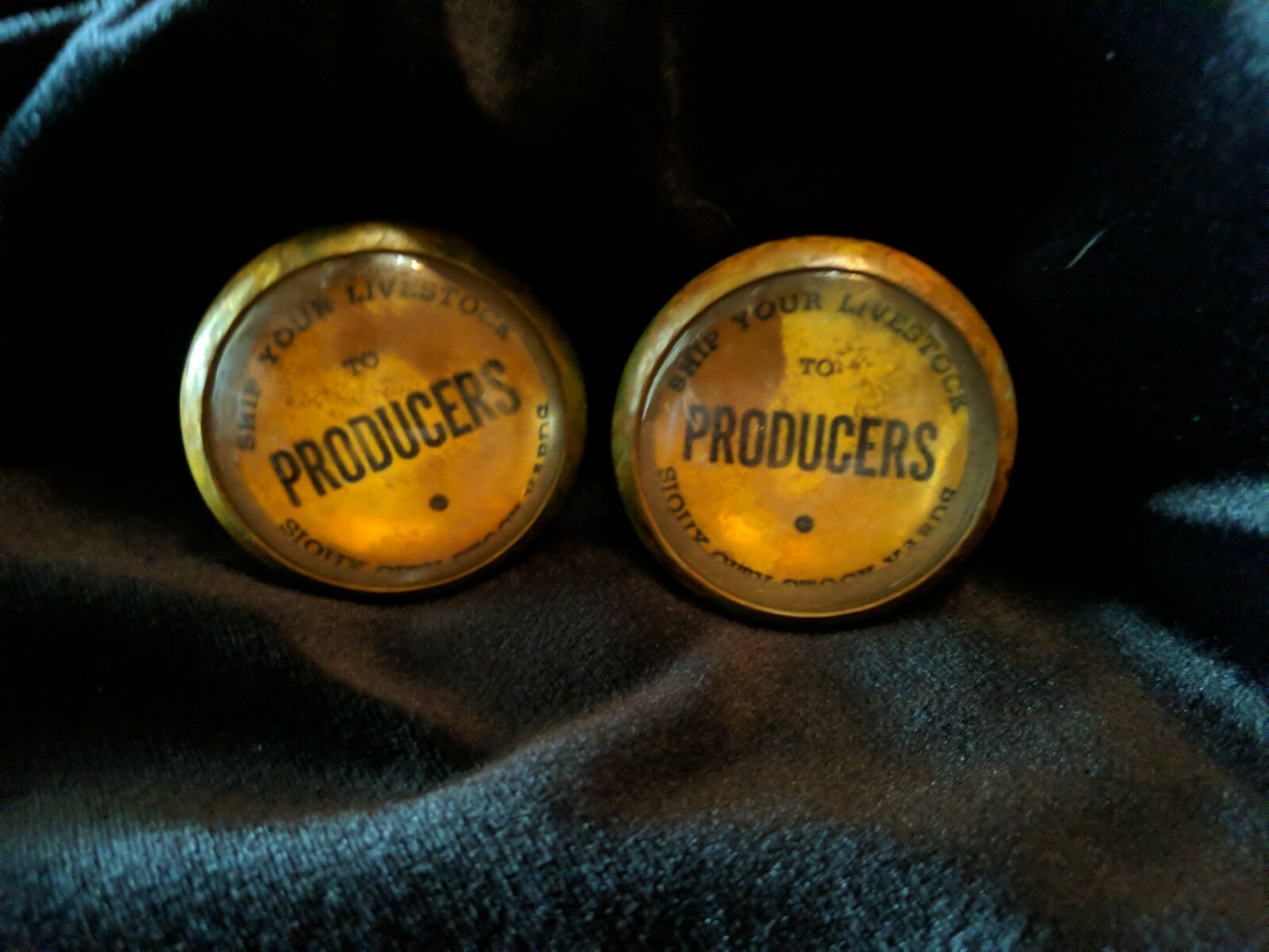 Bridle Rosettes Producers Livestock adv