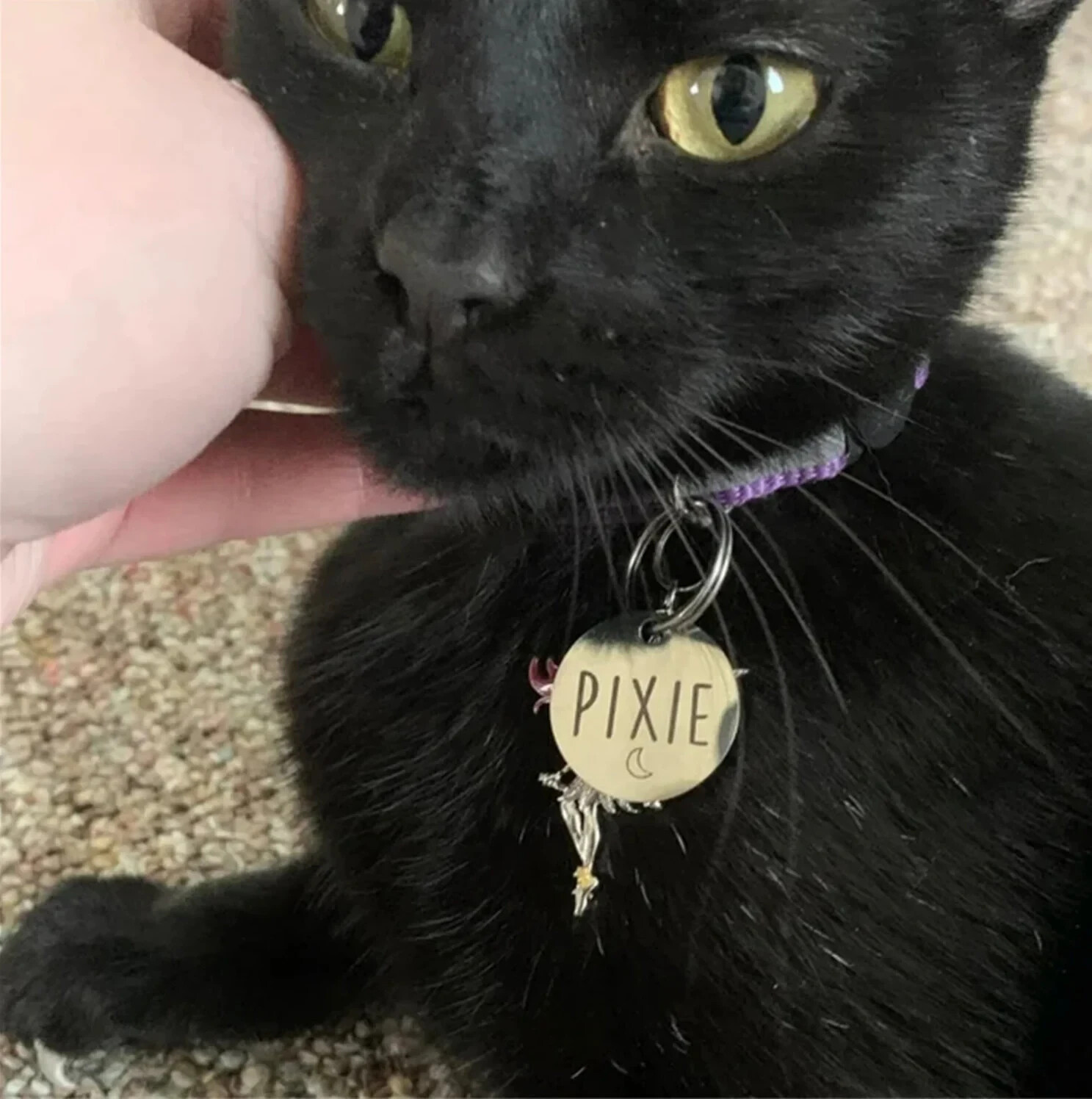 CUSTOM ENGRAVED PERSONALIZED PET TAG ID DOG CAT NAME TAGS DOUBLE SIDE