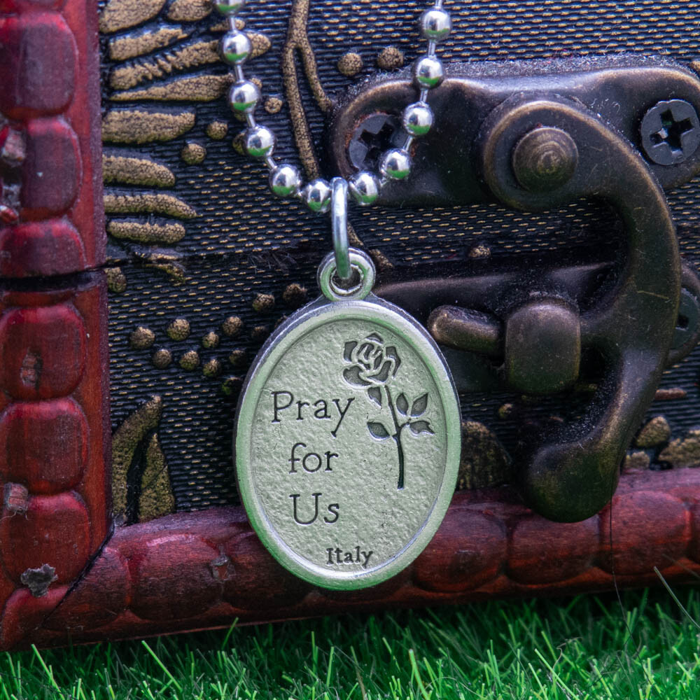 Saint St Francis Of Assisi Pray For Us 1" Medal Pendant Necklace 24" Chain Italy