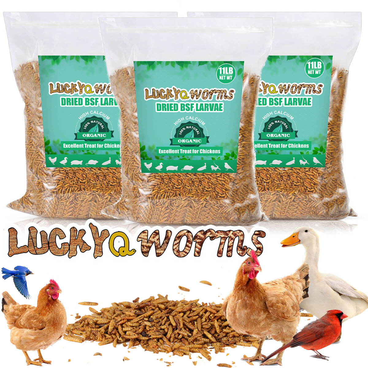 Lot Bulk 5-44LB Dried Black Soldier Fly Larvae Mealworms for Chicken Birds Treat