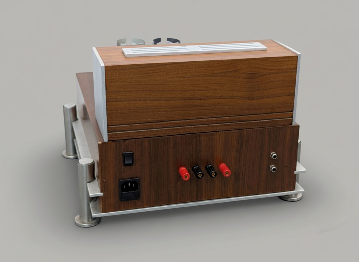 Tubelab SE 2.1 Type 45 Tube Based SET Vacuum Tube Amplifier Modern Chassis