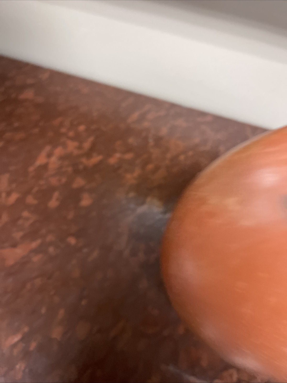 Nampeyo Hopi black and white on red pottery bowl.