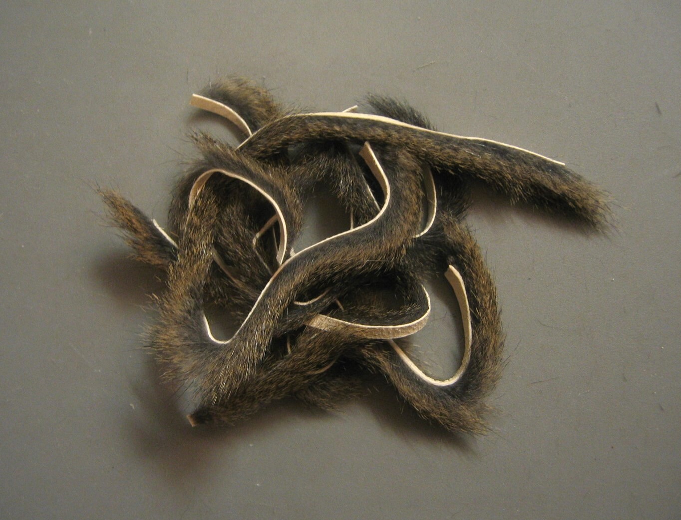 Pine Squirrel Zonker Strips-30" in Strips-combine shipping