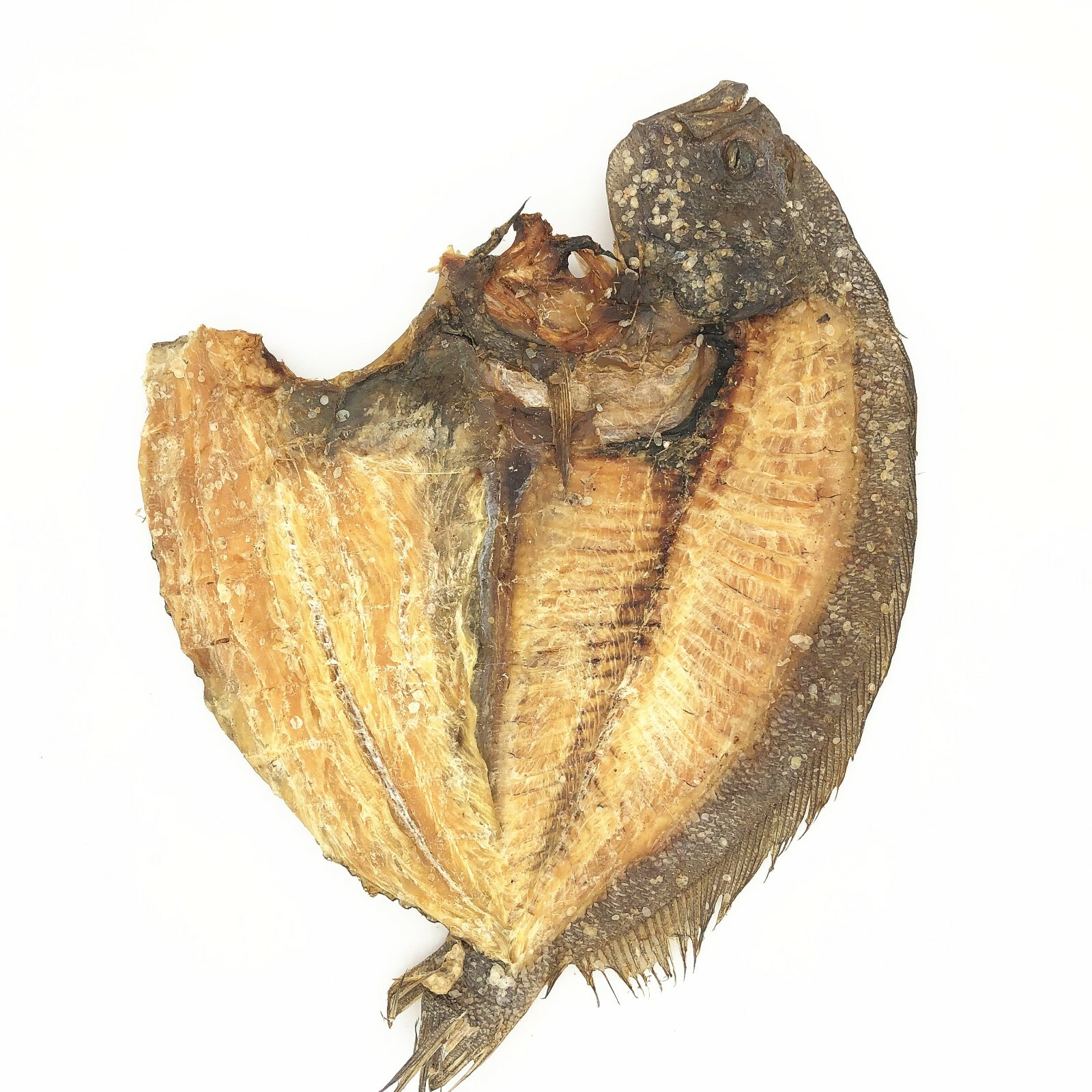 Natural Dried Flounder Fish 大地鱼 比目鱼