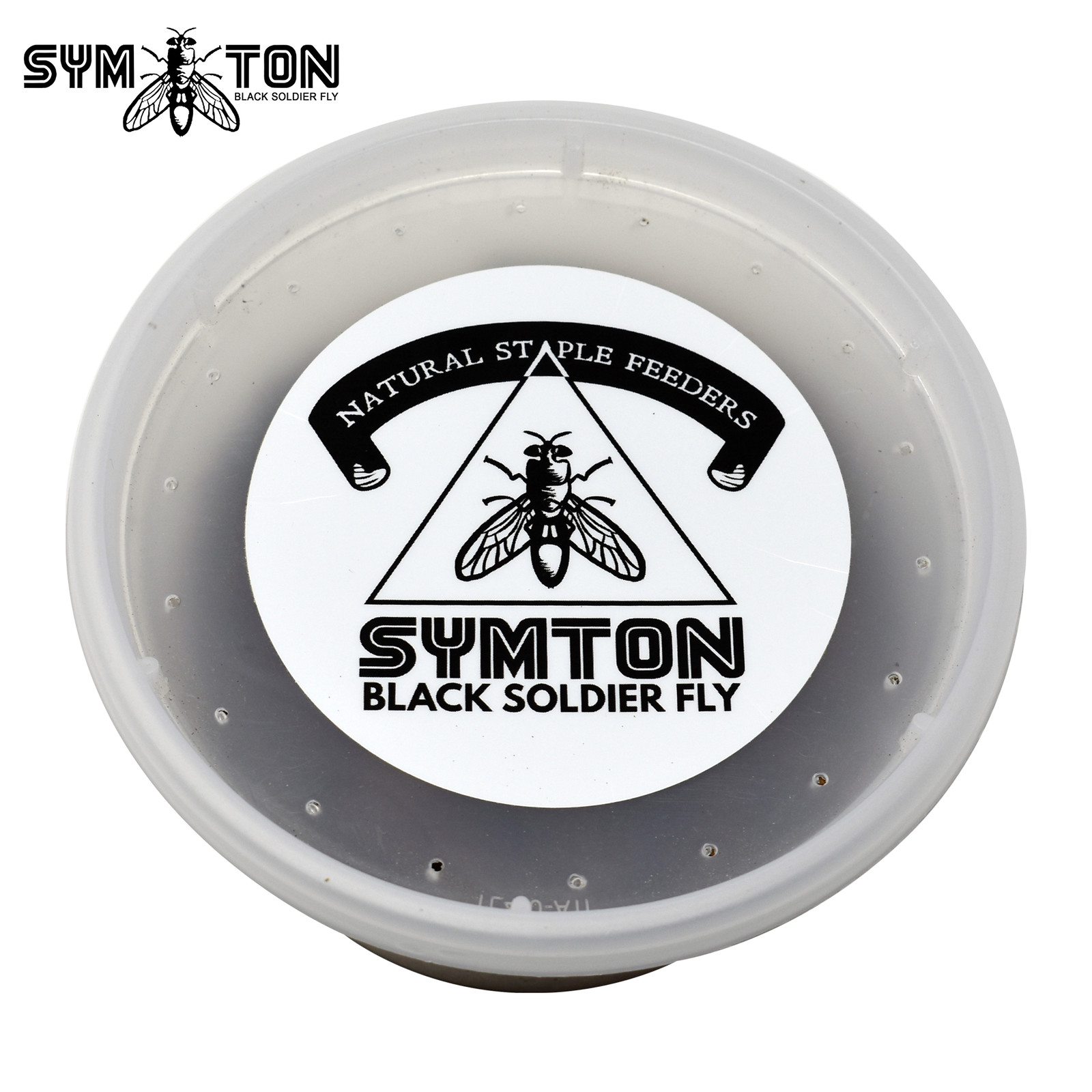 Live Feeders - Black Soldier Fly Larvae (Large)