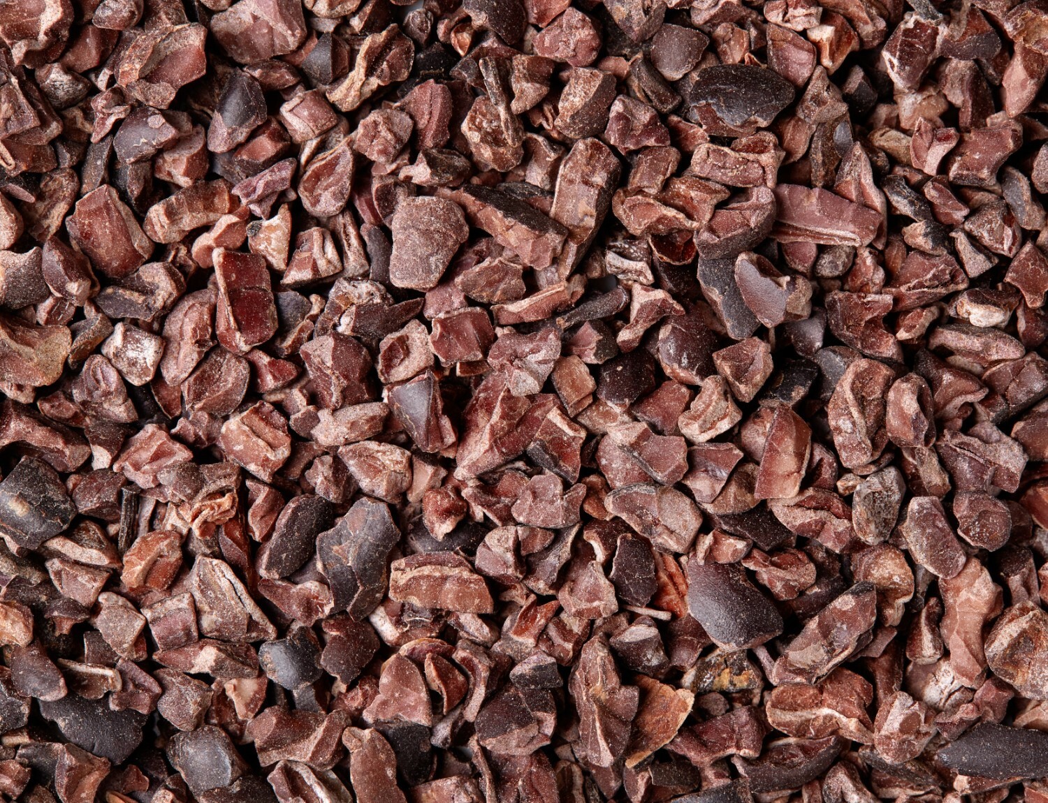 Raw Cacao / Cocoa Nibs 100% Raw Chocolate Arriba Nacional Bean 1 oz to 25 lb