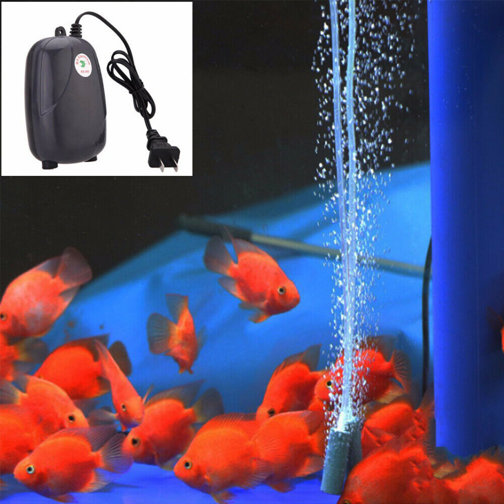 Air Pump Large Aquarium Fish Tank Pump Hydroponic Oxygen 2 Outlet 5W Pump