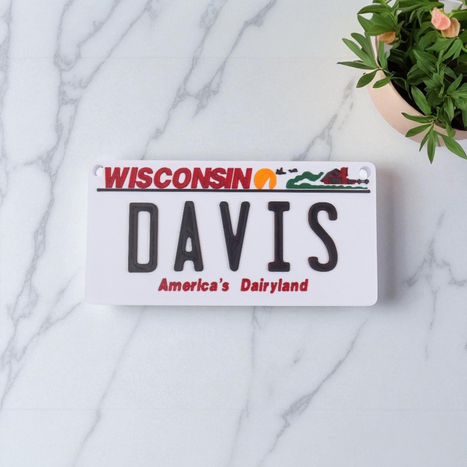 Personalized Mini License Plate Tag – Custom 3D 4x2” State Plate for Kids