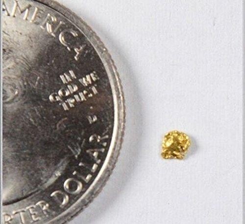 Alaskan-Yukon BC Gold Rush Natural Gold Nugget 0.09 Grams Genuine