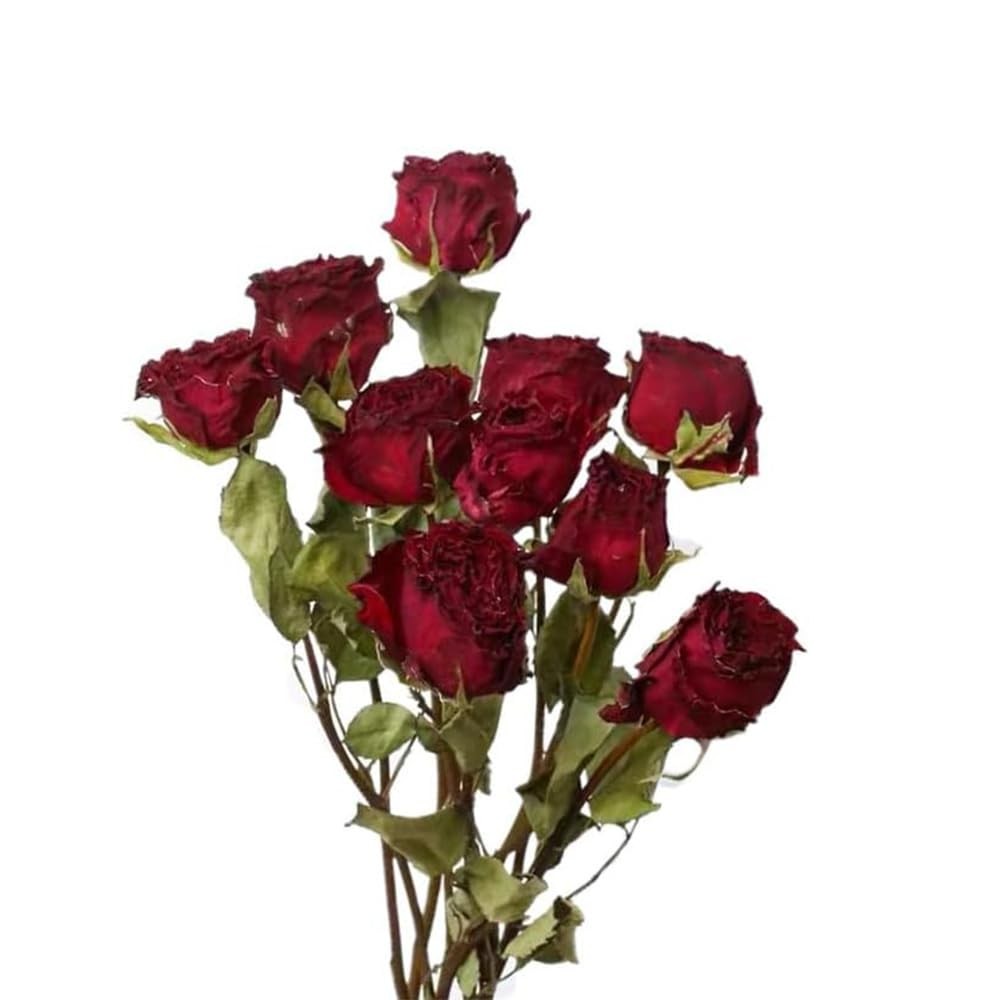 TooGet Natural Dried Flowers Bouquet, 10 Pcs Red Dried Roses Bouquet for Wedd...