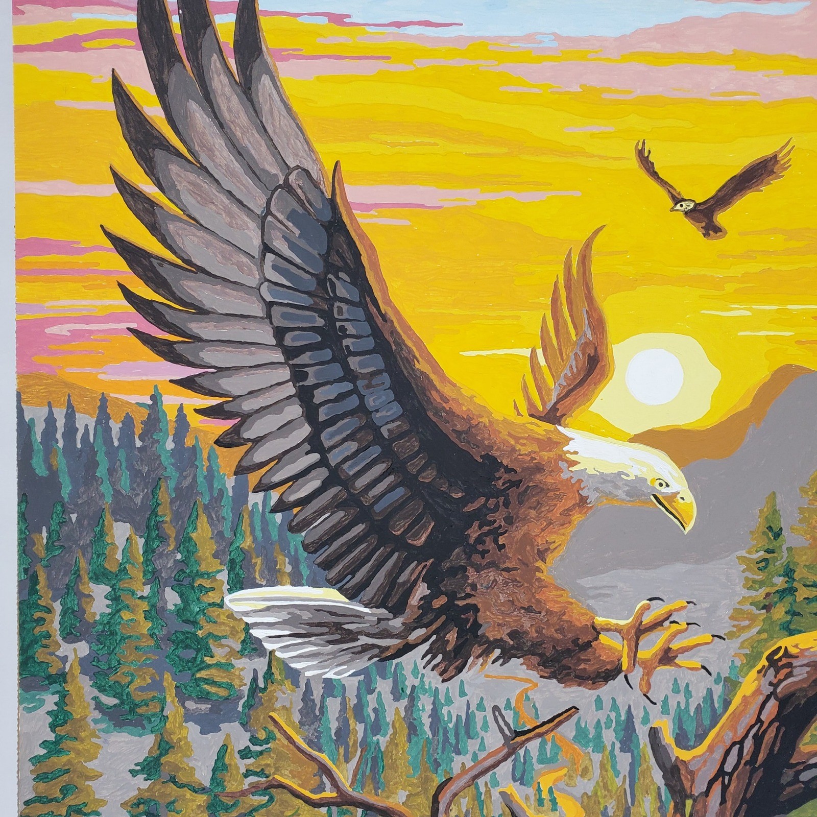 Vintage Bald Eagle Paint By Number Art Sunset Landscape Signed Teddy 16x20