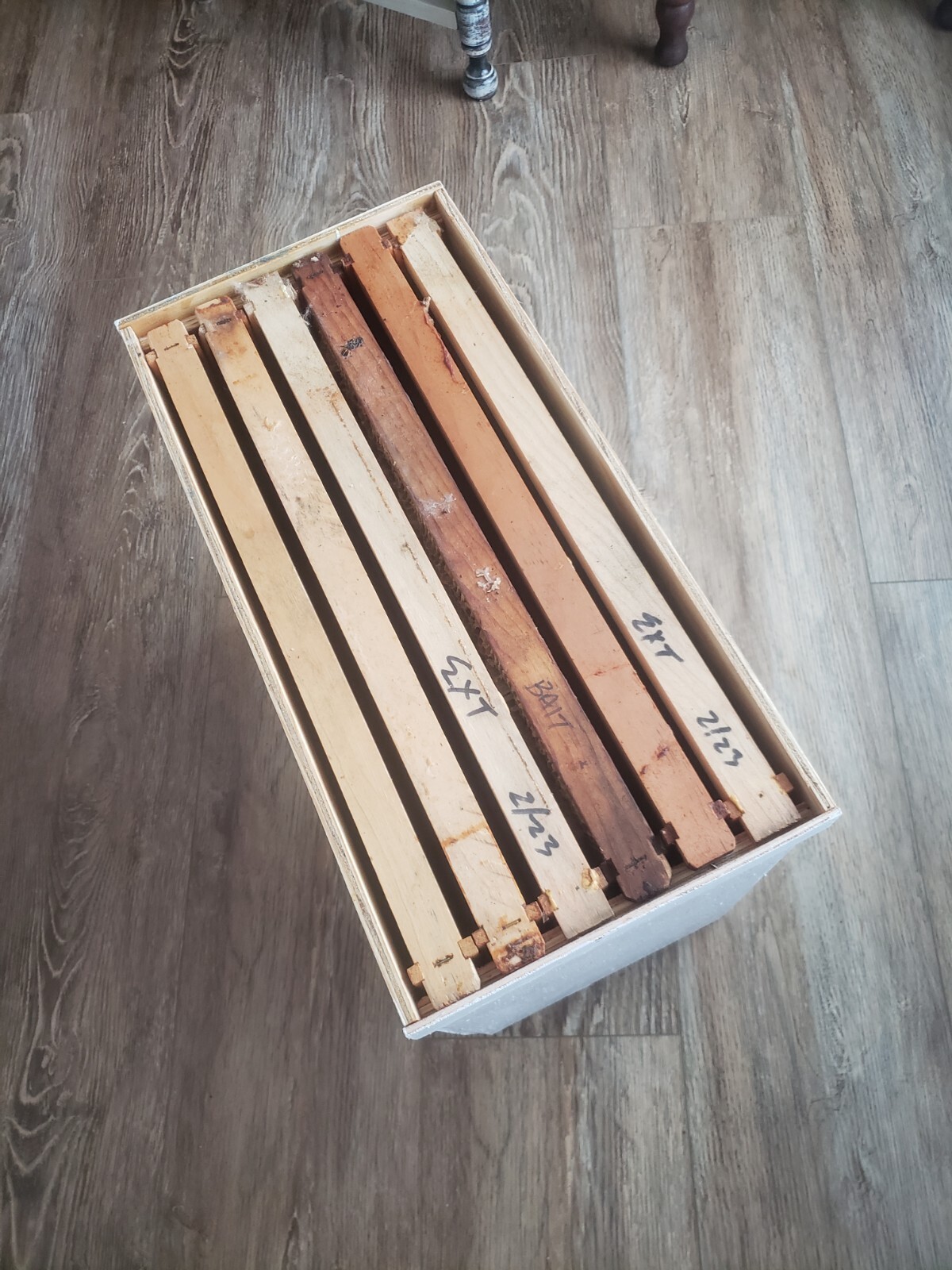 Honeybee Swarm Trap = FREE BEES!!