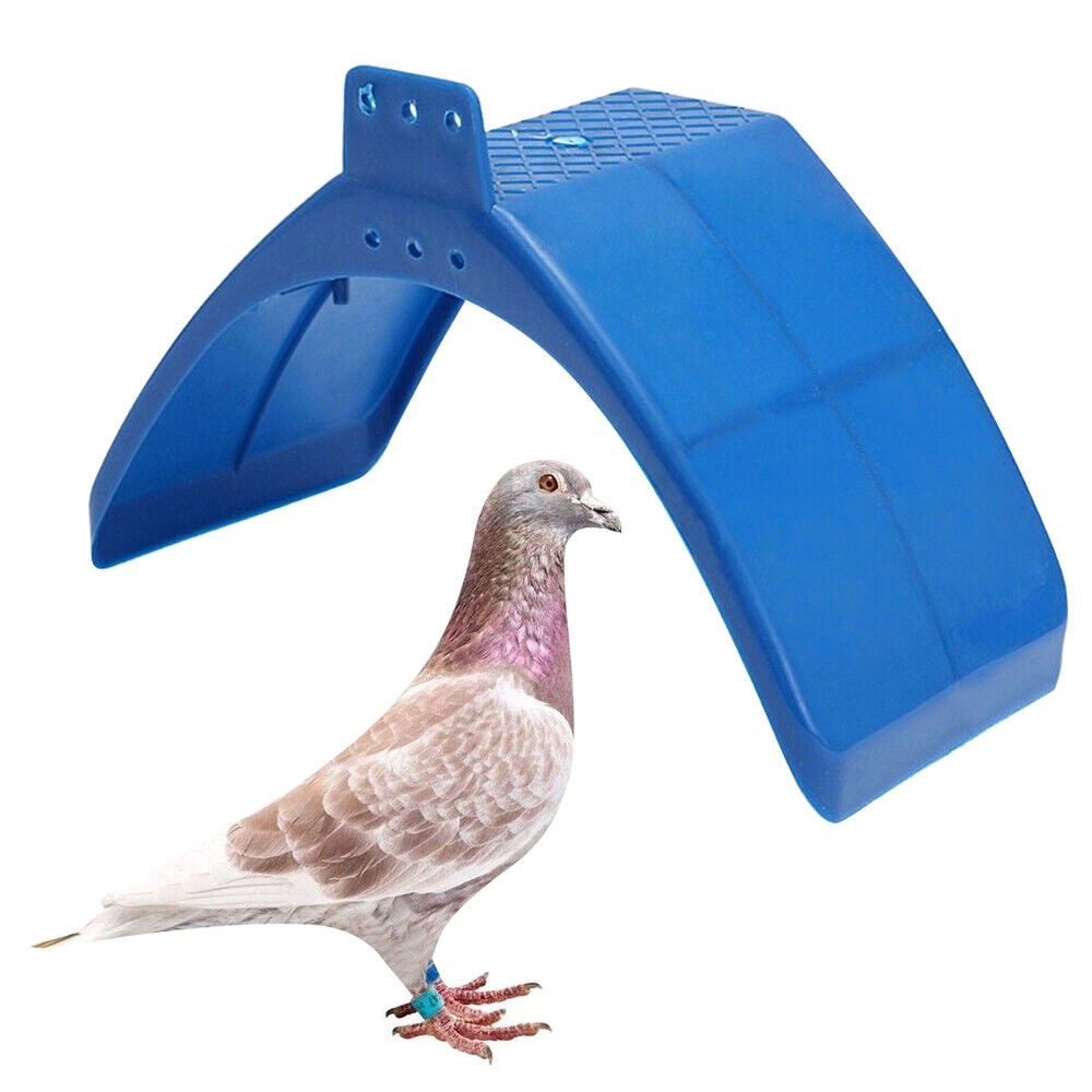 20x Pigeon Dove Bird Rest Stand Frame Dwelling Perches Roost Bird Supplies Blue