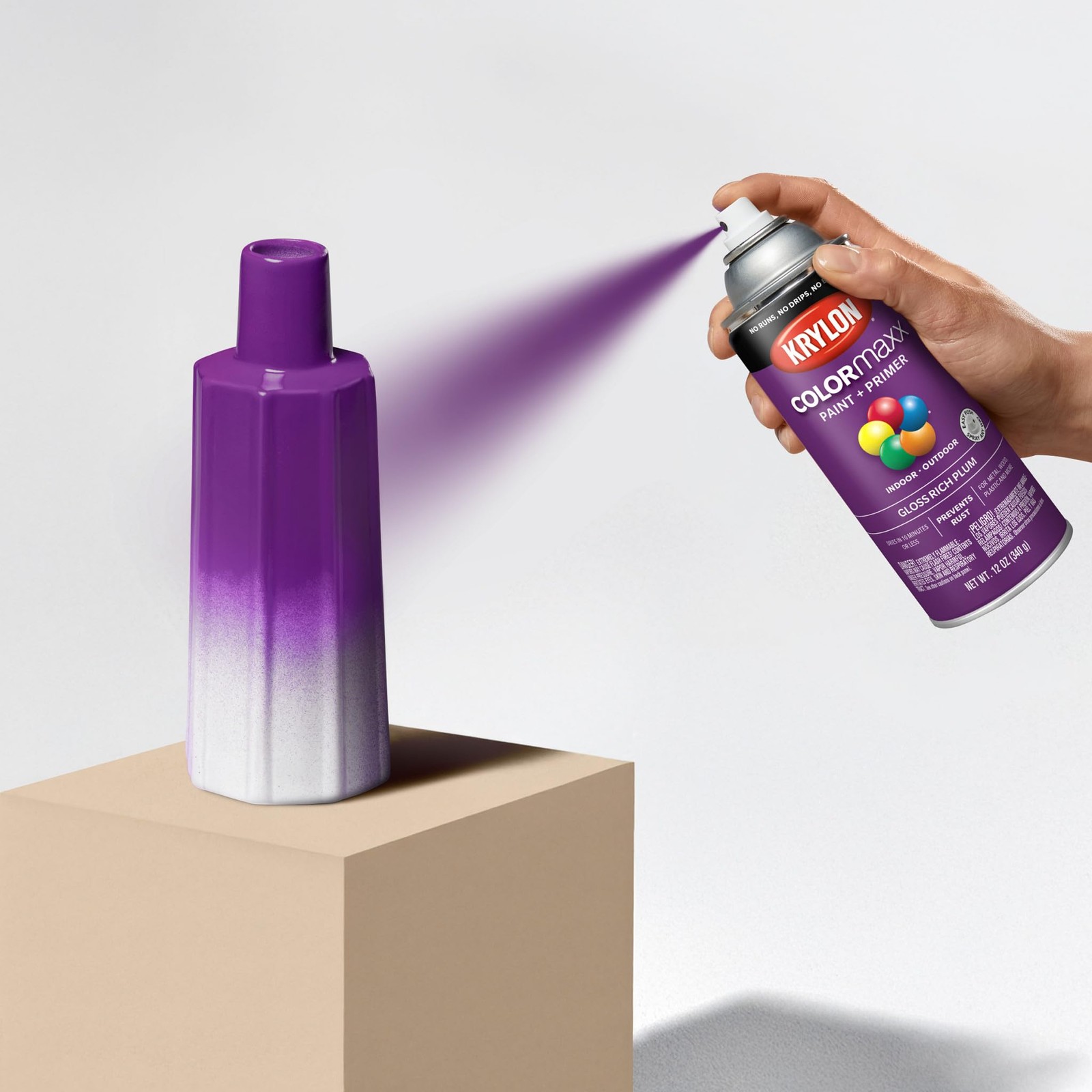 Krylon K05536007 COLORmaxx Spray Paint and 12 Ounce (Pack of 1), Rich Plum