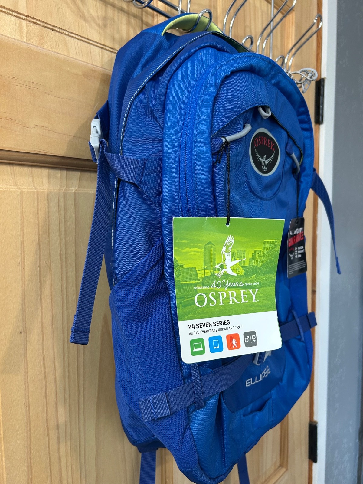 Osprey Ellipse 25L Backpack