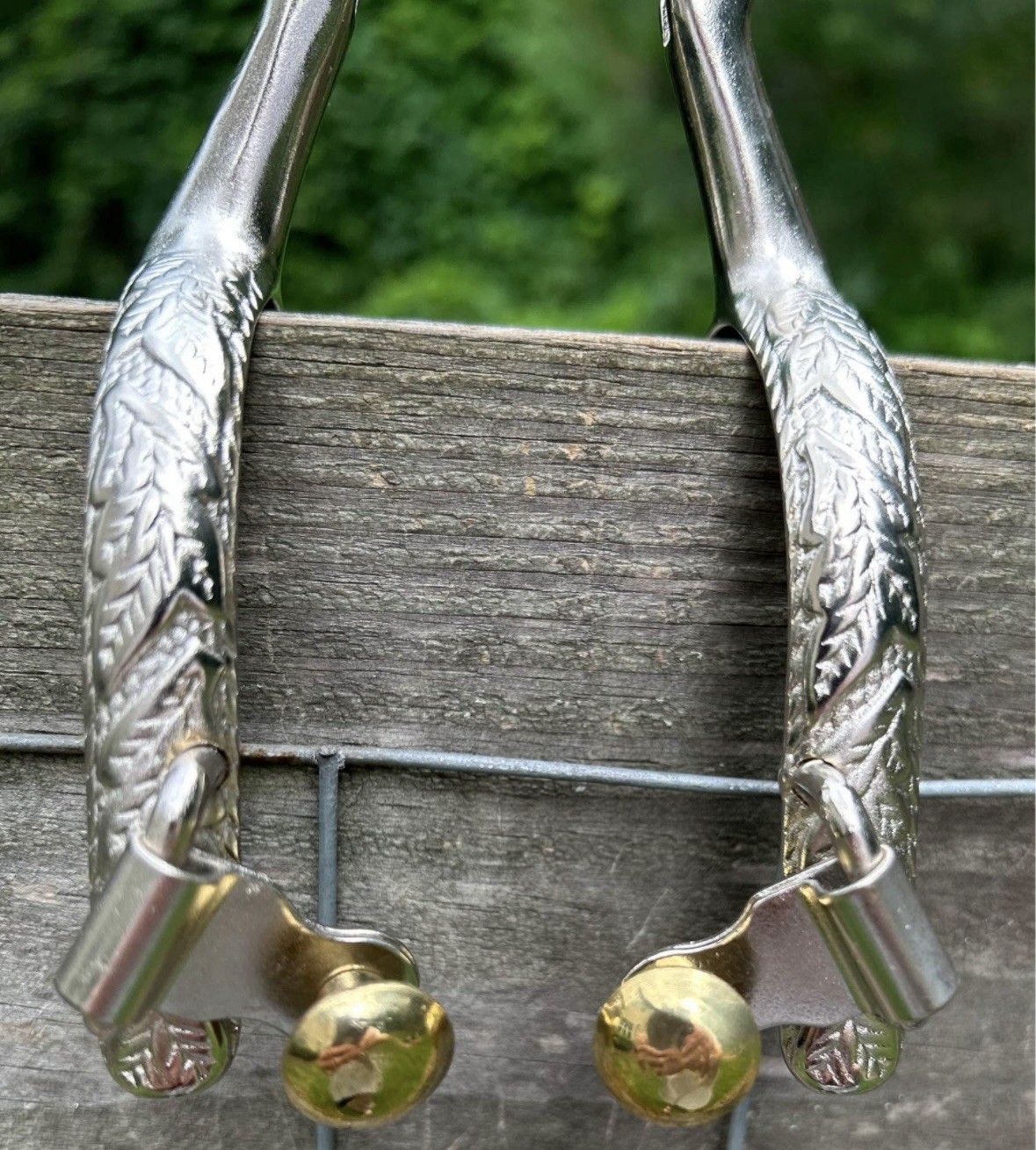 Pair Ladies Western Engraved Stainless Steel Spurs Brass Rowels And Buttons